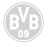 Consulting_BVB_Logo.png